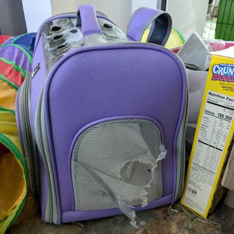 A purple soft backpack pet carrier with a hole in the side mesh.