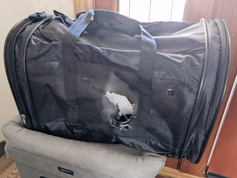 A soft pet carrier with a giant hole in the side mesh.